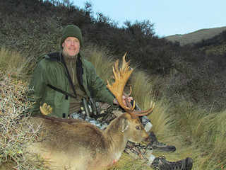 New Zealand Red Stag Hunting - Christchurch 36