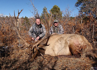 New Mexico Elk Hunt 52