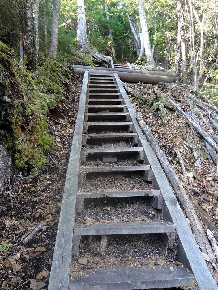 Osseo Trail Ladder on Mt. Flume