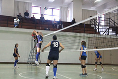 Torneo Volare Volley Under 13 • <a style="font-size:0.8em;" href="http://www.flickr.com/photos/69060814@N02/8262535082/" target="_blank">View on Flickr</a>