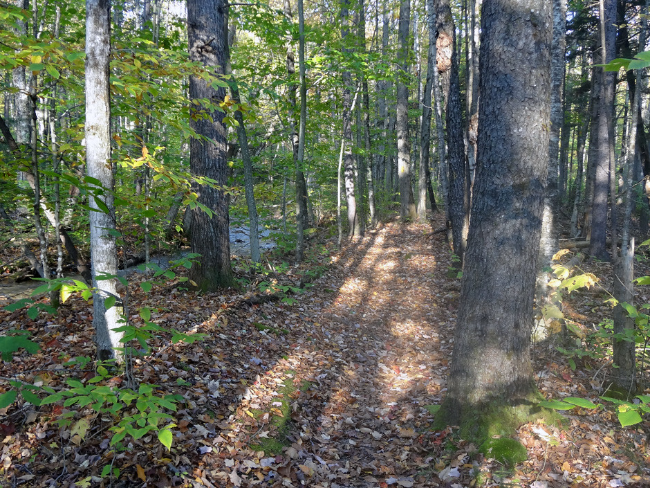 Early Osseo Trail on Mt. Flume
