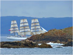 2948-Tall Ships Race-Coruña.2012.