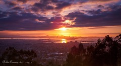 Bay Area Sunset