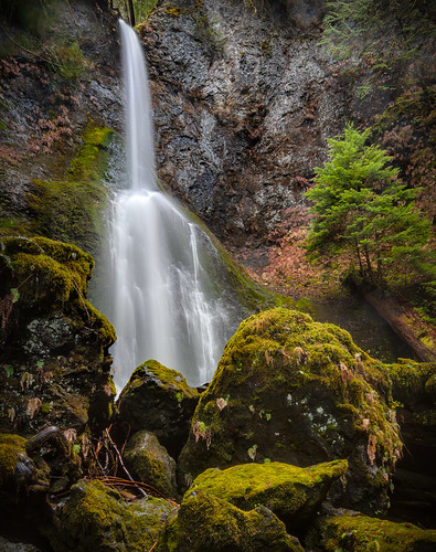 Marymere Falls (Michael Riffle) trees winter lakecrescent nature wet forest canon landscape photography waterfall nationalpark moss woods rocks stream northwest pacificnorthwest olympicnationalpark 2012 marymere marymerefalls