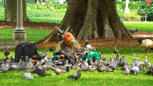 Pigeon Lady, Hyde Park Sydney