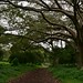 Amora Gedel Park in Hawassa (4)