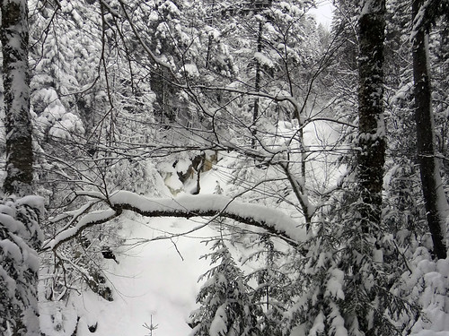 Gibbs Falls in Winter on Mt. Pierce