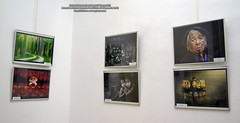 21 Decembrie 2012 » Salonul Internaţional de Artă Fotografică
