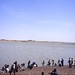 Mali - On the banks of the niger river, near Mopti