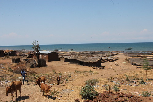 Breakdown on Lake Malawi (3)