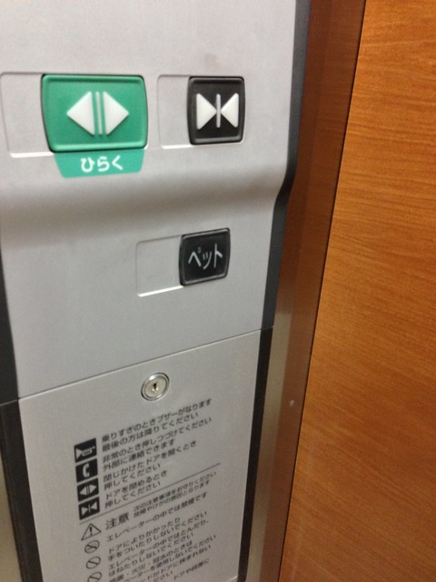 エレベーターに謎のペットボタンありました...