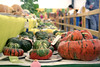 gourds by brookwithnoe, on Flickr