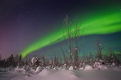 Kiruna Northern Lights