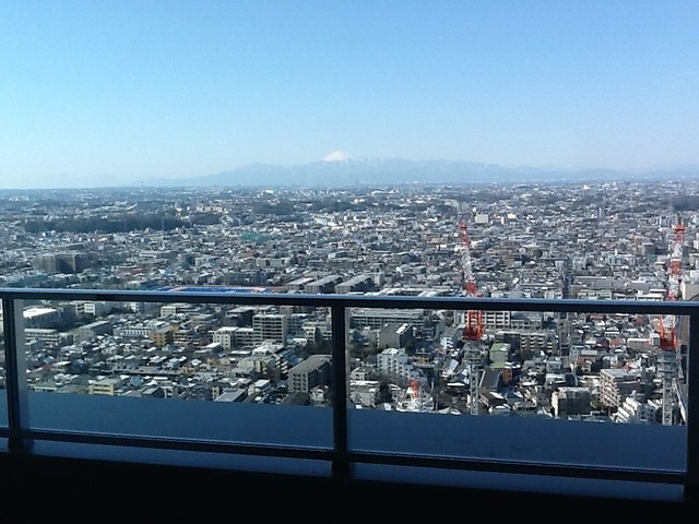 内覧会行ってきました。富士山が綺麗でした...