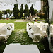 villa_wedding_tuscany