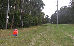 Lot 1 -11 Pine Forest Road, Tomerong NSW