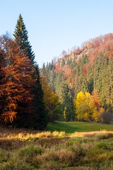 Farben des Herbstes im Tal der Schwarzen Pockau • <a style="font-size:0.8em;" href="http://www.flickr.com/photos/91814557@N03/8515938186/" target="_blank">View on Flickr</a>