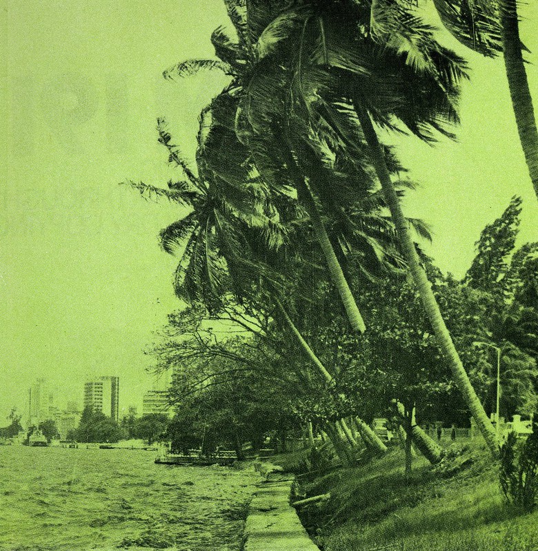 Guide to Lagos 1975 004 palm trees<br/>© <a href="https://flickr.com/people/30616942@N00" target="_blank" rel="nofollow">30616942@N00</a> (<a href="https://flickr.com/photo.gne?id=8488691712" target="_blank" rel="nofollow">Flickr</a>)