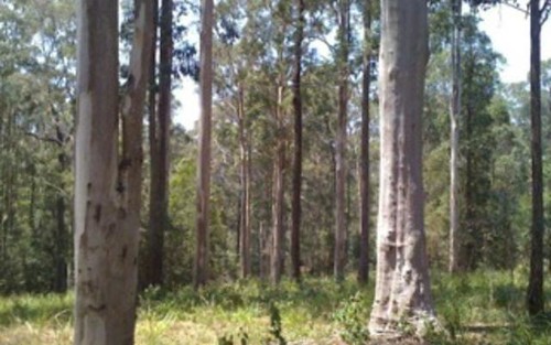 Lot 18, Tall Timber Road, Lake Innes NSW