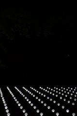 閃光 [Senko] - Tokushima LED Art Festival