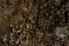 grotte di S.Angelo(CassanoJonico)_2016_041