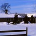 Indiana   -   Terre Haute   -   RR 21 Box 443   -   Snow   -  John   -    February 1982
