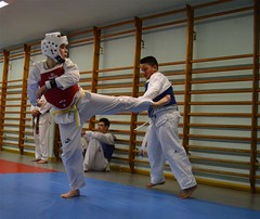 Taekwondo - combate entre principiantes