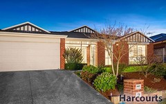 11 Noel Court, Wantirna South VIC