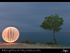 Ball of Light Greets the Solitary Mediterranean Pine