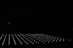閃光 [Senko] - Tokushima LED Art Festival
