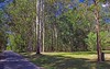 Lot 2 Cnr Iluka Road, West and North Streets, Woombah NSW