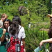 Atlanta Botanical Gardens Field-trip • <a style="font-size:0.8em;" href="http://www.flickr.com/photos/62152544@N00/8685115649/" target="_blank">View on Flickr</a>