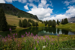 Suisse Lac