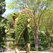 Atlanta Botanical Gardens Field-trip • <a style="font-size:0.8em;" href="http://www.flickr.com/photos/62152544@N00/8685120597/" target="_blank">View on Flickr</a>