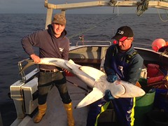 Lewis Hodder with 91lb Blue Shark • <a style="font-size:0.8em;" href="http://www.flickr.com/photos/113772263@N05/28287167460/" target="_blank">View on Flickr</a>
