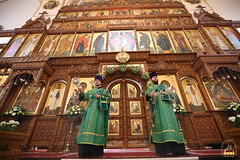 44. St. John, recluse of Svyatogorsk Monastery / Прп. Иоанна Затворника