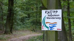 Kneipp-Napoleon-Wanderweg im Staatsforst Vorholz