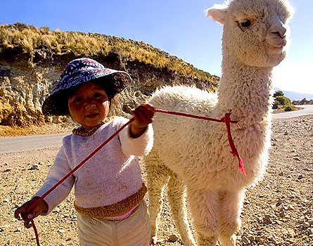 Local kid with her baby alpaca, Inca Trail Trip, Peru