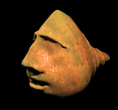 Fish Face in luxrender • <a style="font-size:0.8em;" href="http://www.flickr.com/photos/81441778@N02/7461450732/" target="_blank">View on Flickr</a>