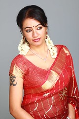 South actress MADHUCHANDAPhotos Set-3-HOT IN TRADITIONAL DRESS (40)