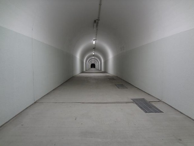 トンネル内はLEDの電球です　昨日は1個...
