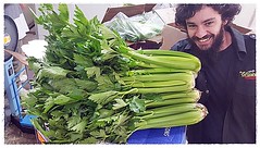 W36 Organic Celery