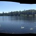 Earlier today, in Itasca State Park. • <a style="font-size:0.8em;" href="http://www.flickr.com/photos/29675049@N05/7673287152/" target="_blank">View on Flickr</a>