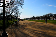 National Mall South • <a style="font-size:0.8em;" href="http://www.flickr.com/photos/59137086@N08/7896489934/" target="_blank">View on Flickr</a>