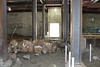 North tower basement • <a style="font-size:0.8em;" href="http://www.flickr.com/photos/78270468@N07/7930472574/" target="_blank">View on Flickr</a>