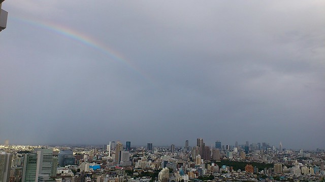 今朝は台風一過で大きな虹がベランダから見...