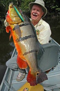 Brazil Peacock Bass Fishing 1