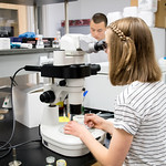 <b>Summer Research 2016</b><br/> Luther students do research in the summer of 2016. Photo by Annika Vande Krol '19.<a href="//farm9.static.flickr.com/8184/28347301612_9b32915961_o.jpg" title="High res">&prop;</a>
