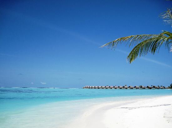 Niyama  - Atollo di Dhaalu