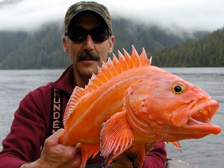 Alaska Fishing Lodge - Sitka 41